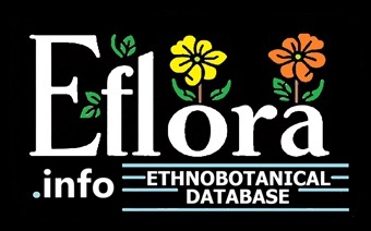 Eflora Logo